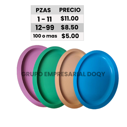 [24-110] PLATO TAMPIQUEÑO COLORES
